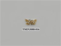 藏品(螟蛾66)的圖片